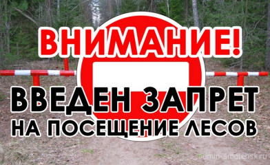 на территории Смоленской области действует ограничение посещения лесов - фото - 1